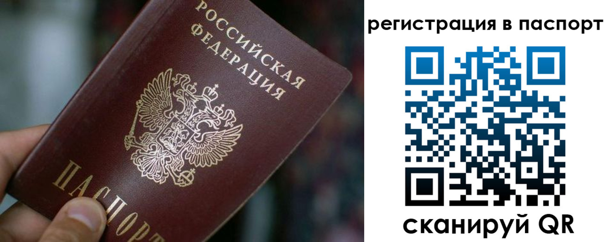 где прописаться в Петропавловске-Камчатском